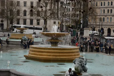 DSC_5764 (Large).JPG